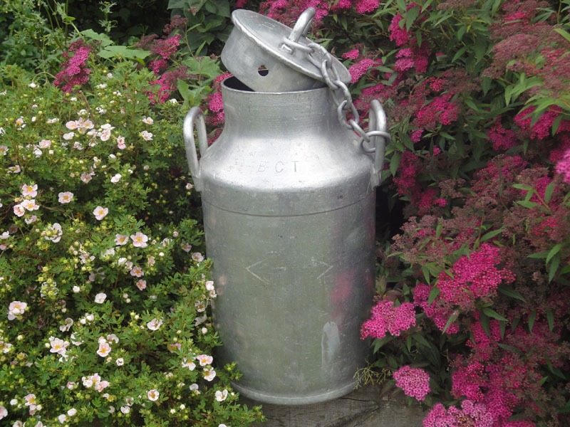 Bidon Ã  lait de ferme en aluminium Ã©pais