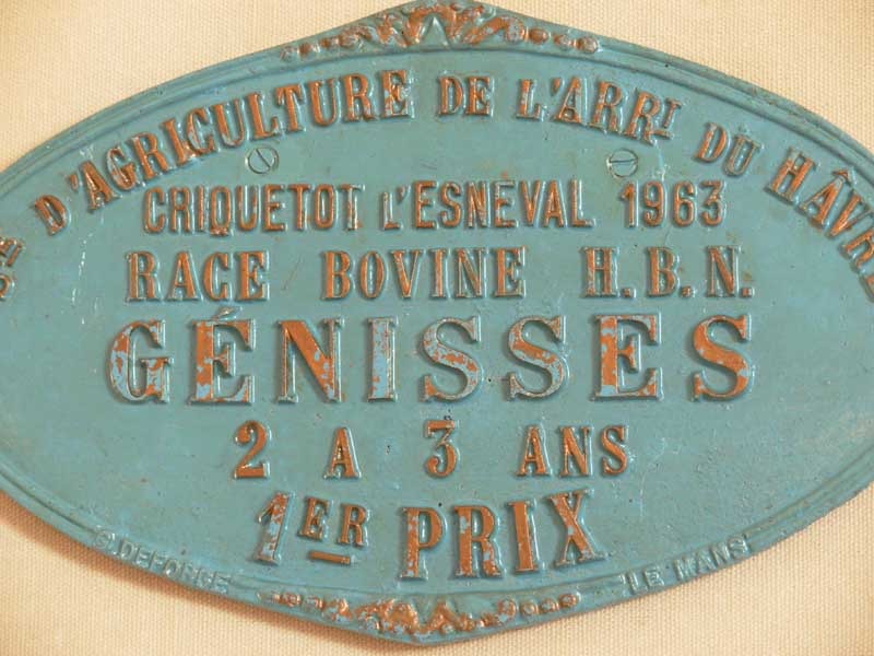 Plaque de concours agricole génisses 1963