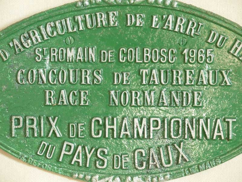 Plaque de concours agricole taureaux 1965