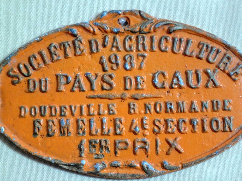 Plaque de concours agricole vaches 1987